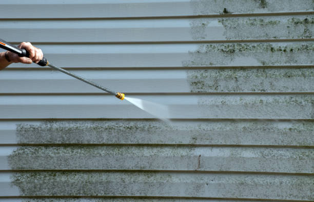 Trusted Denison, TX Pressure Washing Services Experts